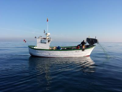 Pesca marítima y acuicultura